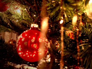 Illustration for article titled Photo Contest: Christmas Lights